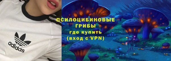 сатива Вязьма