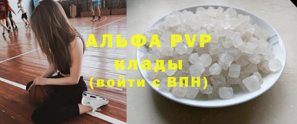 шишки Горнозаводск
