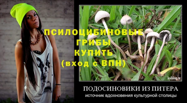 шишки Горнозаводск