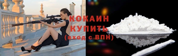 ECSTASY Горняк
