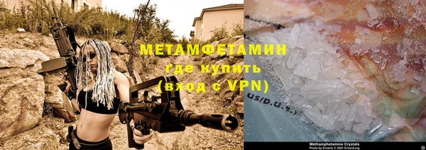 шишки Горнозаводск