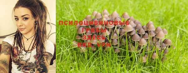 МДПВ Вязники