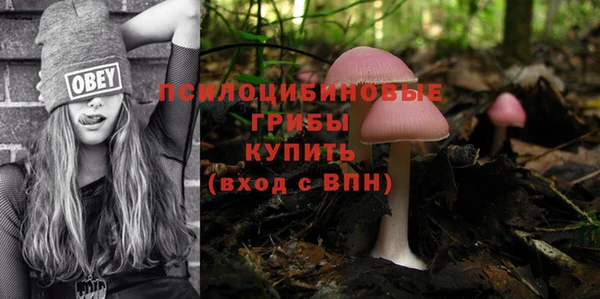 сатива Вязьма